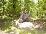 white_doe.jpg (157300 bytes)